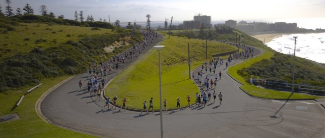 Hill to Harbour