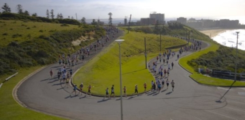 Hill to Harbour