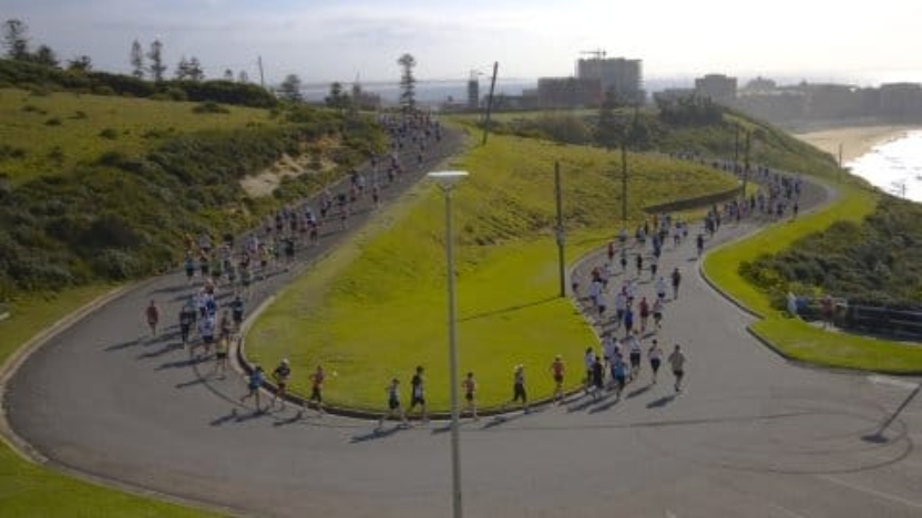 Hill to Harbour