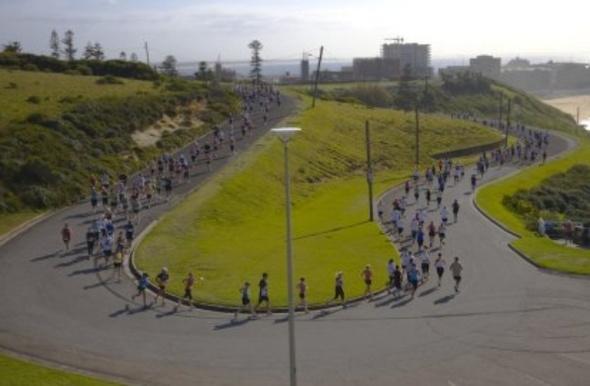 Hill to Harbour