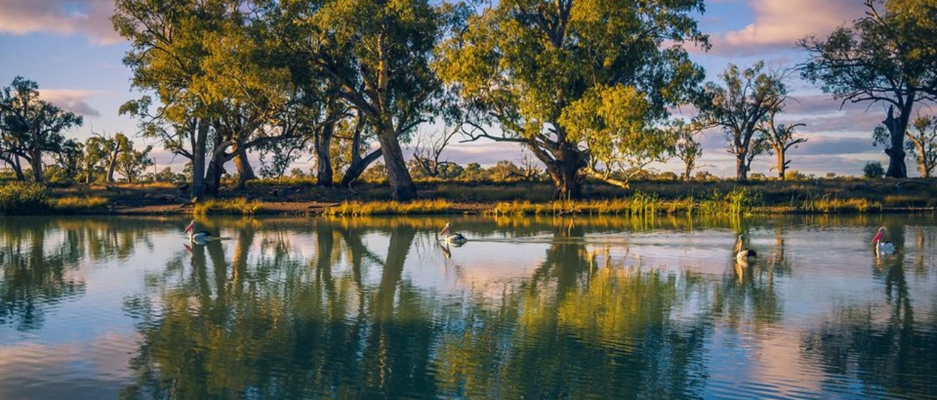 Mildura Riverfront Marathon Festival