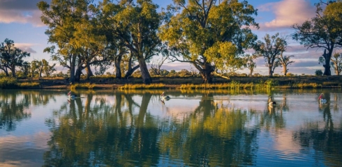 Mildura Riverfront Marathon Festival
