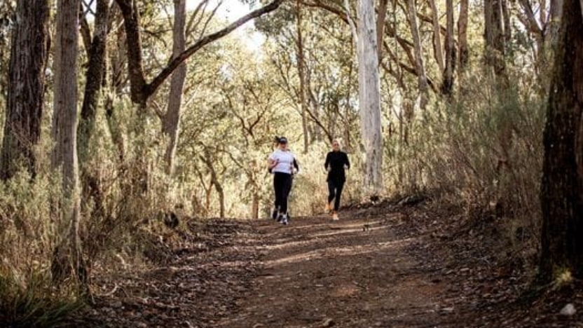 Pub to Pelican Marathon