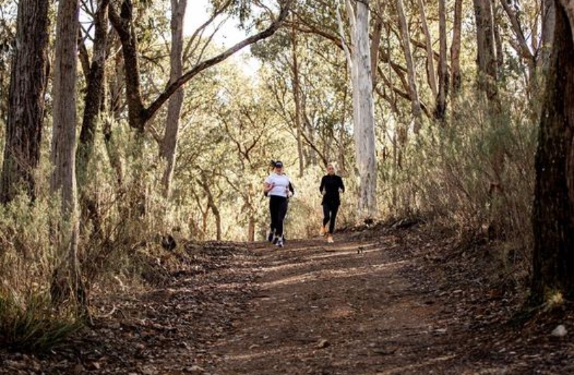 Pub to Pelican Marathon