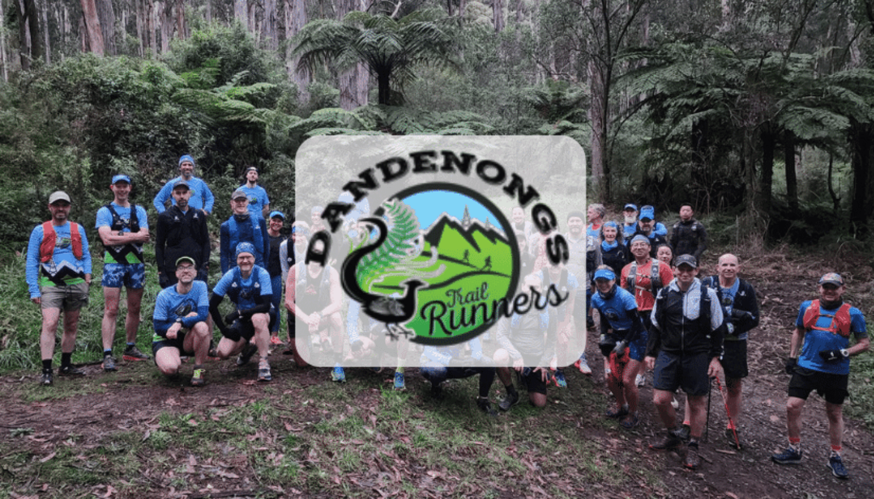 Dandenong Trail Runners