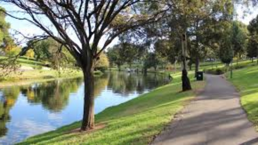 River Torrens Running Festival